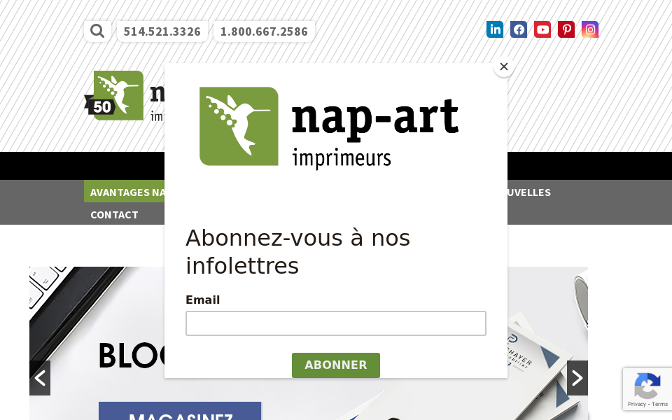 www.nap-art.com/ screen capture