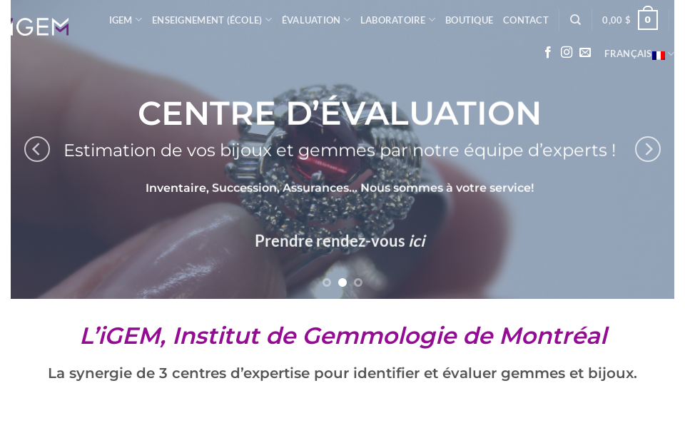 www.ecoledegemmologie.com/ screen capture