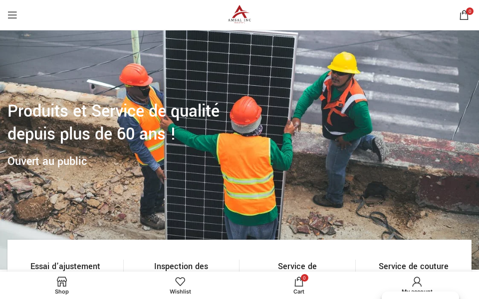 amsalinc.com/fr/ screen capture