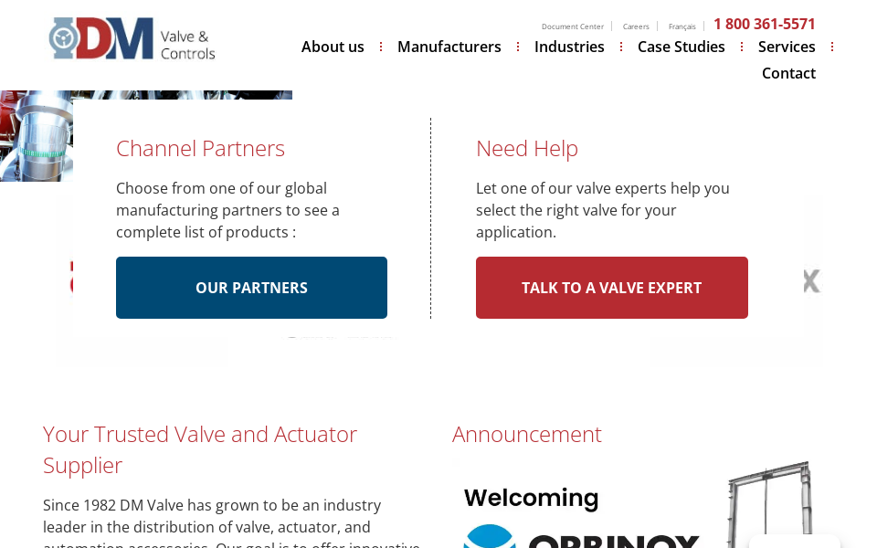 dmvalve.com/ screen capture