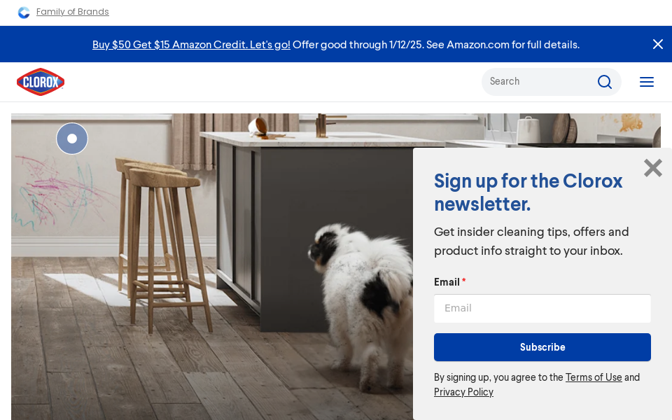 www.clorox.com/ screen capture