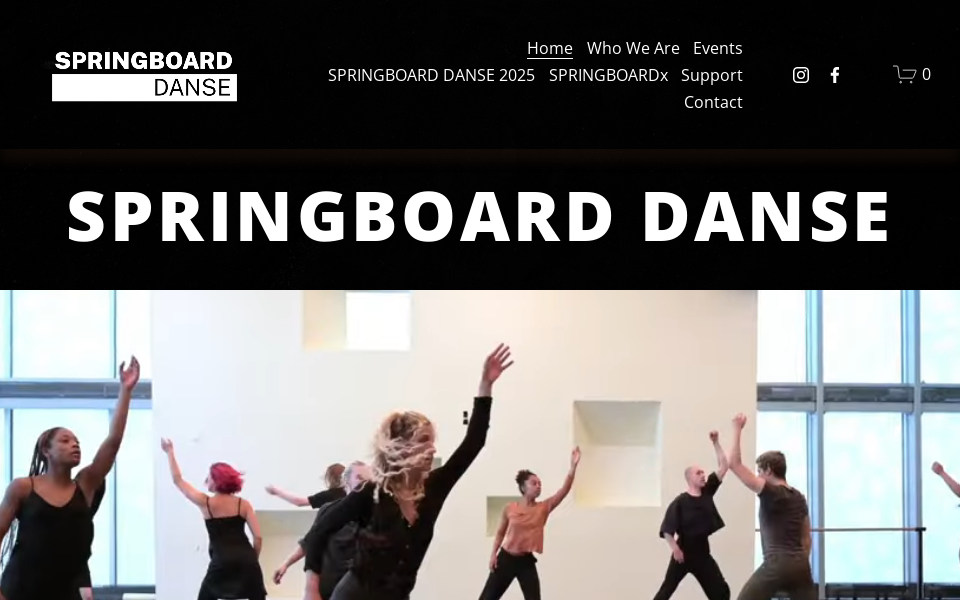 www.springboarddanse.com/ screen capture
