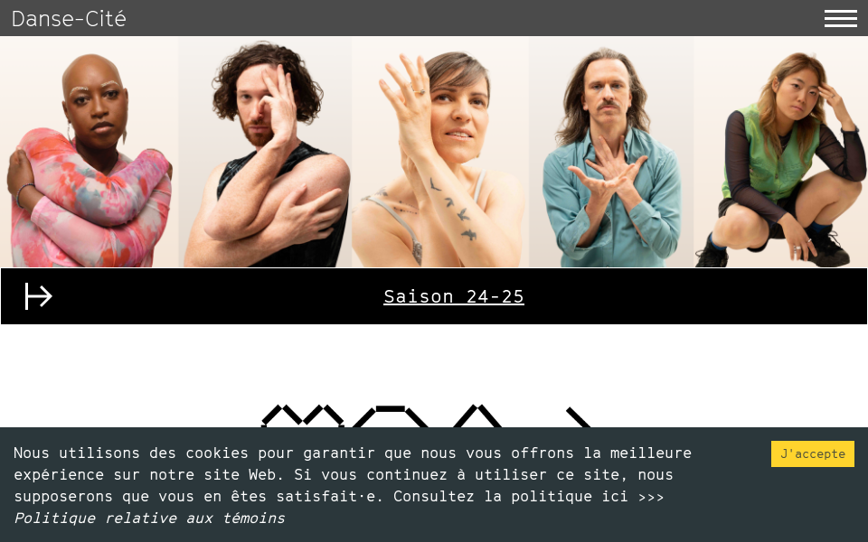 www.danse-cite.org/ screen capture