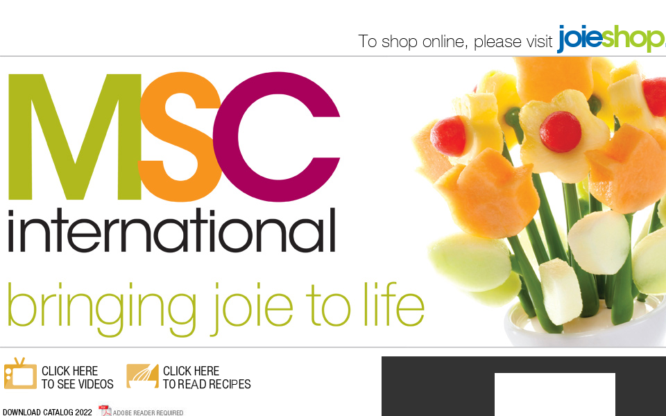 msc-international.com/ screen capture