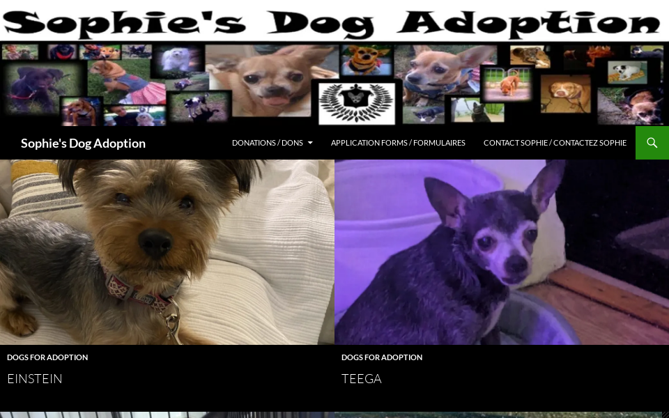 www.sophiesdogadoption.com/ screen capture