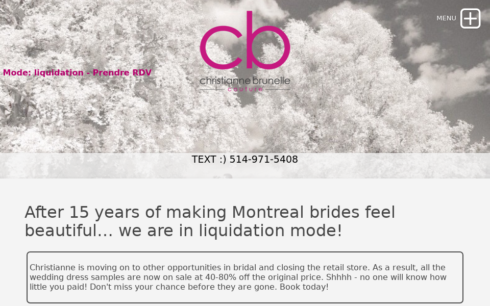 christiannebrunelle.com/ screen capture