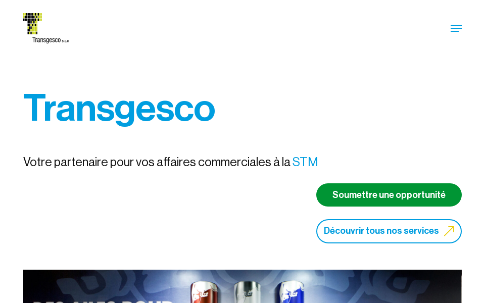 transgesco.ca/ screen capture