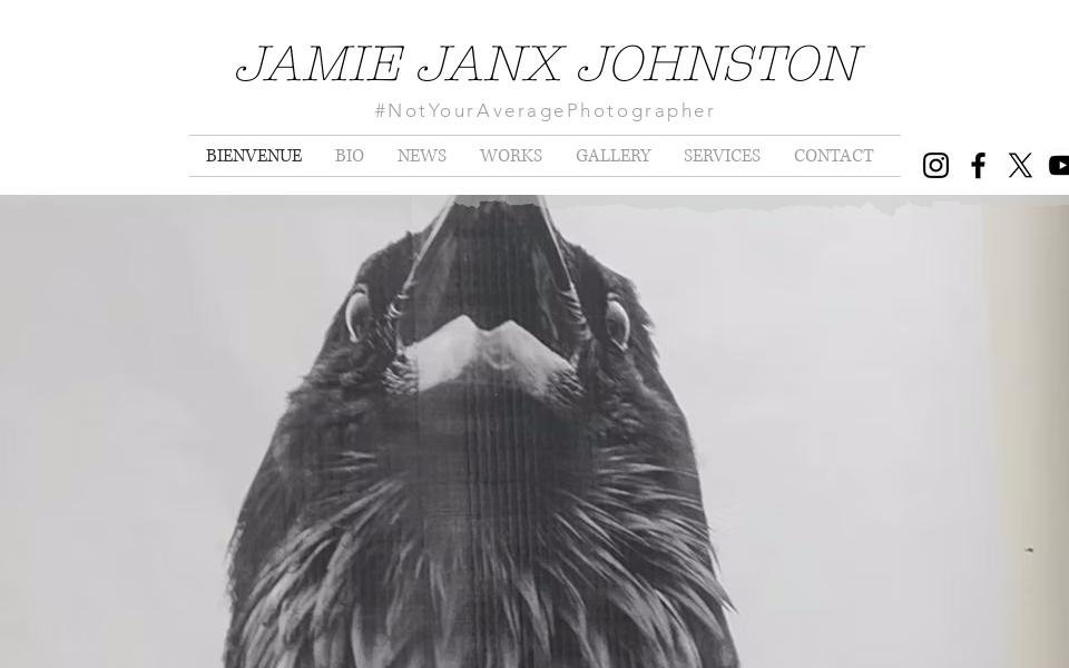 www.jamiejanxjohnston.com/ screen capture