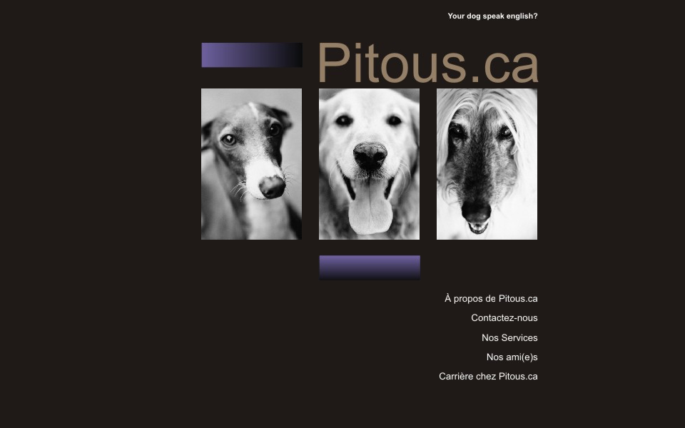 pitous.ca/ screen capture