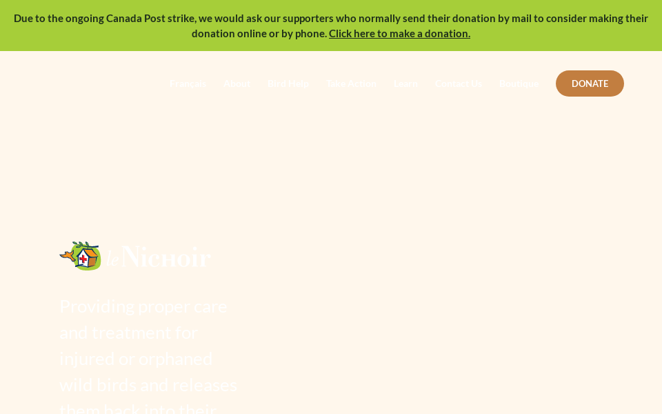 twitter.com/lenichoirhudson screen capture