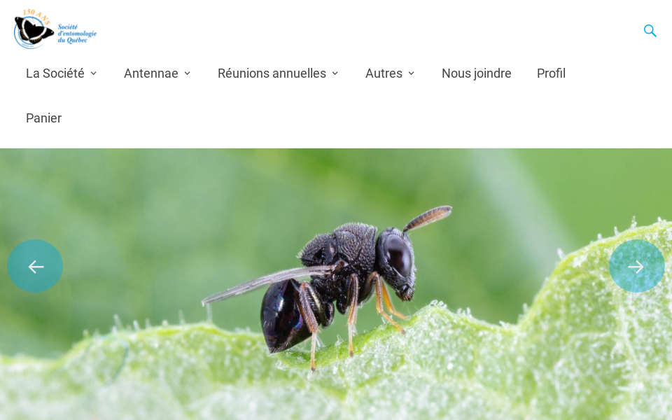 seq.ca/ screen capture