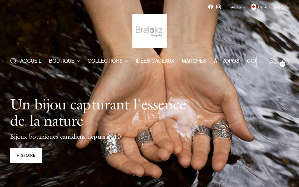 brelokz.com/ screen capture