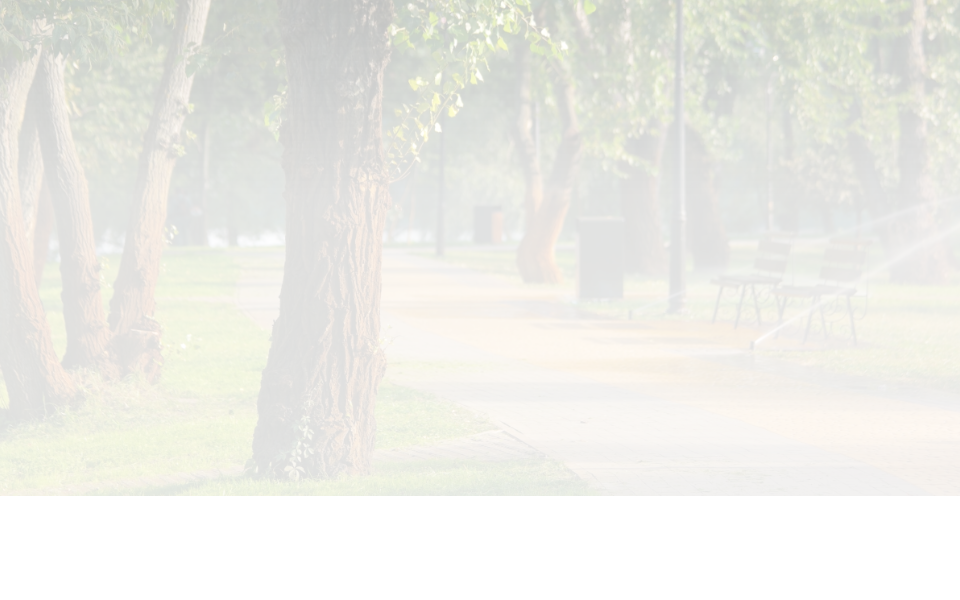 animalvert.com/ screen capture