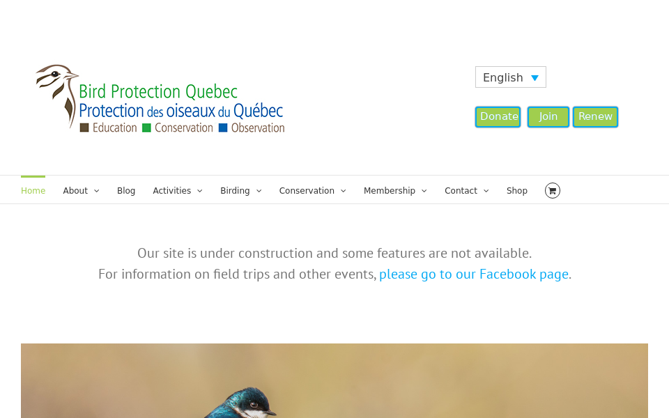birdprotectionquebec.org/ screen capture