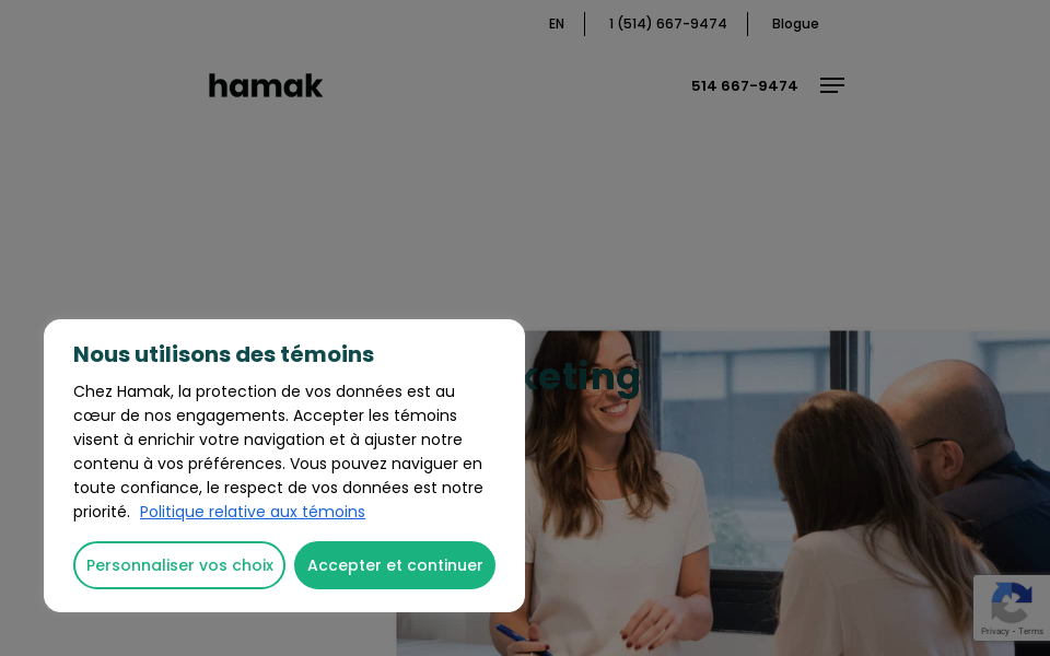 hamak.ca/ screen capture