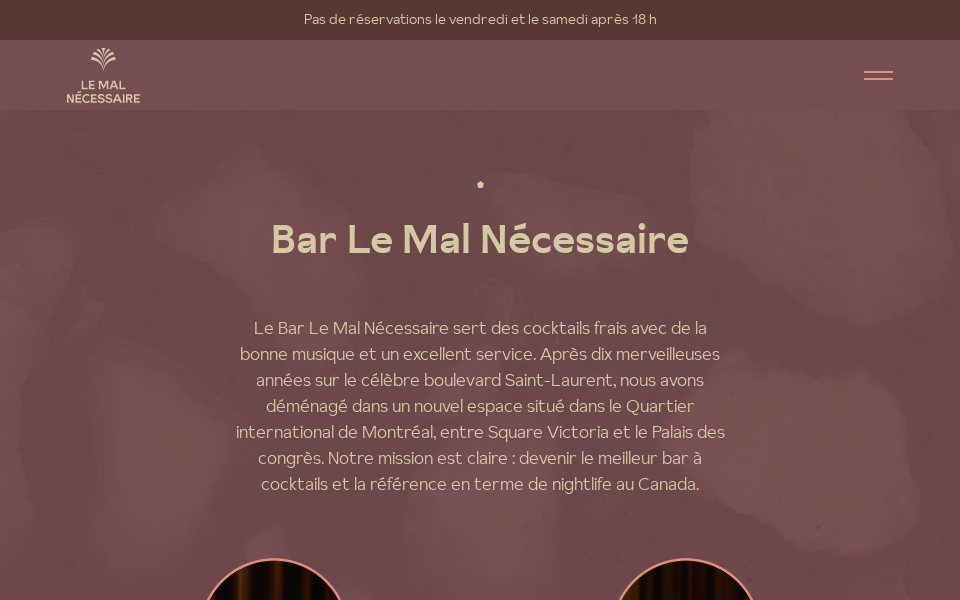 www.lemalnecessaire.com/ screen capture