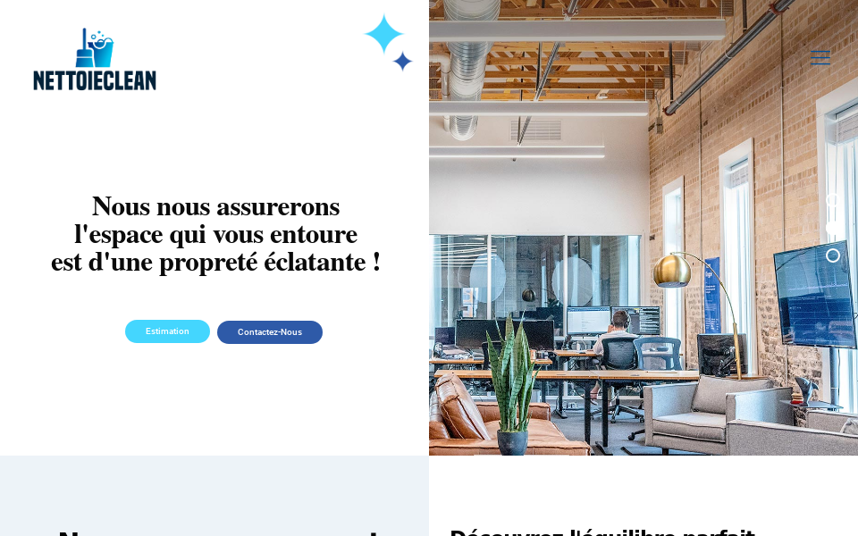 www.nettoieclean.com/ screen capture
