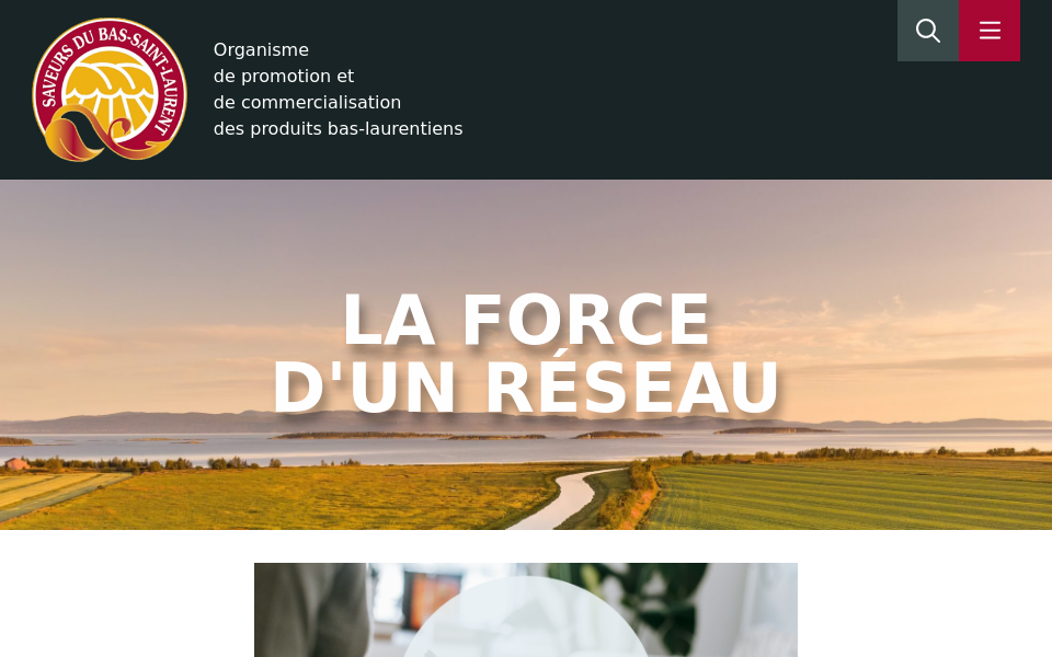 saveursbsl.com/ screen capture