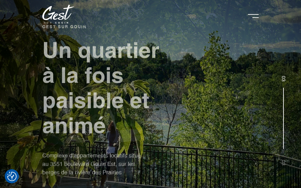 gestsurgouin.com/ screen capture