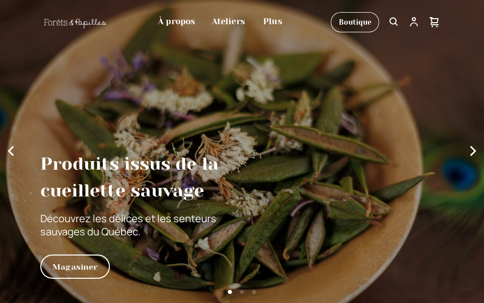 foretsetpapilles.com/ screen capture