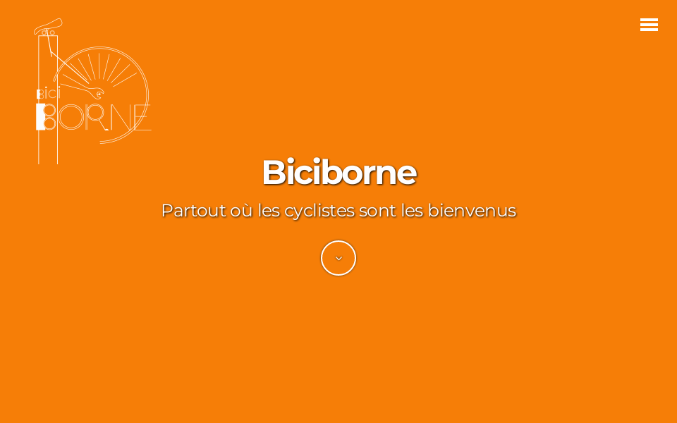 biciborne.com/ screen capture
