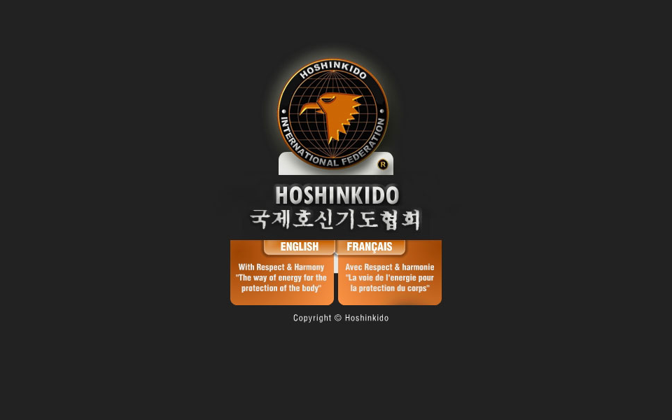 www.hoshinkidohapkido.com/ screen capture