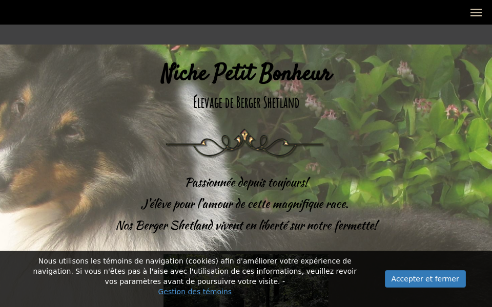 nichepetitbonheur.ca/ screen capture