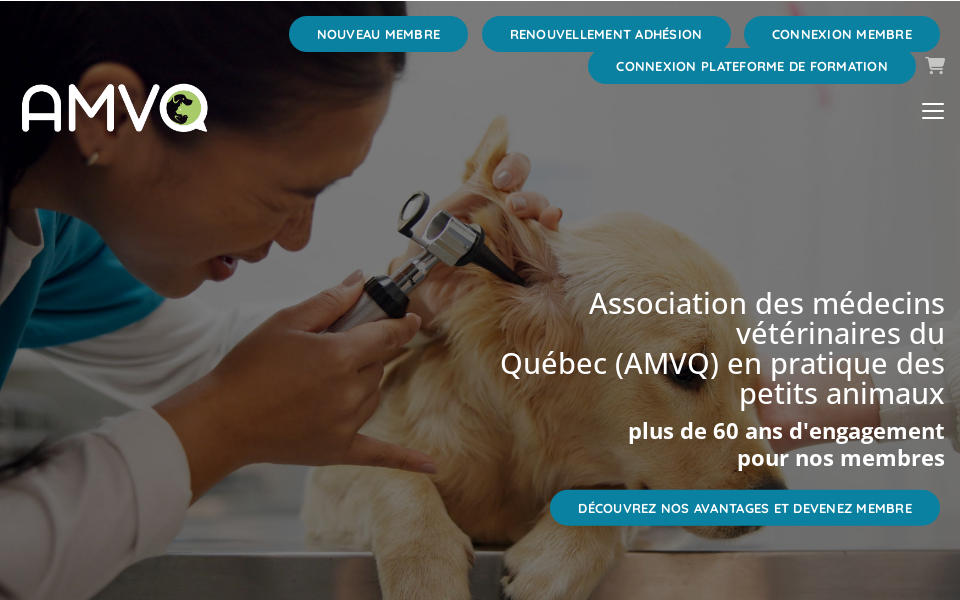 www.amvq.quebec/ screen capture