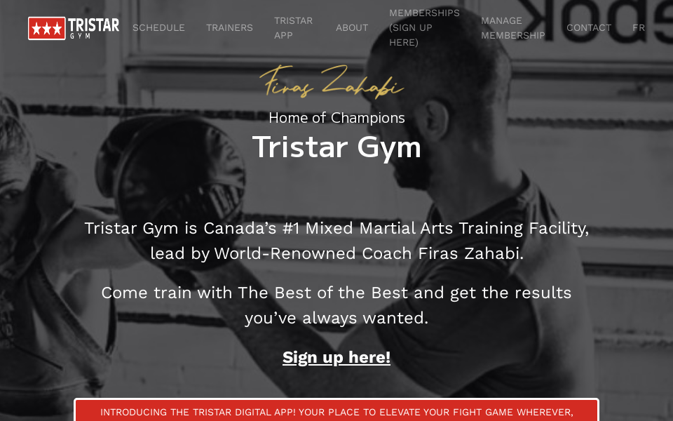 tristargym.com/ screen capture