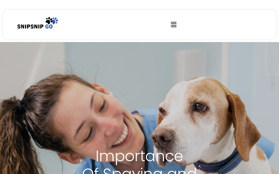 snipsnipgo.com/ screen capture