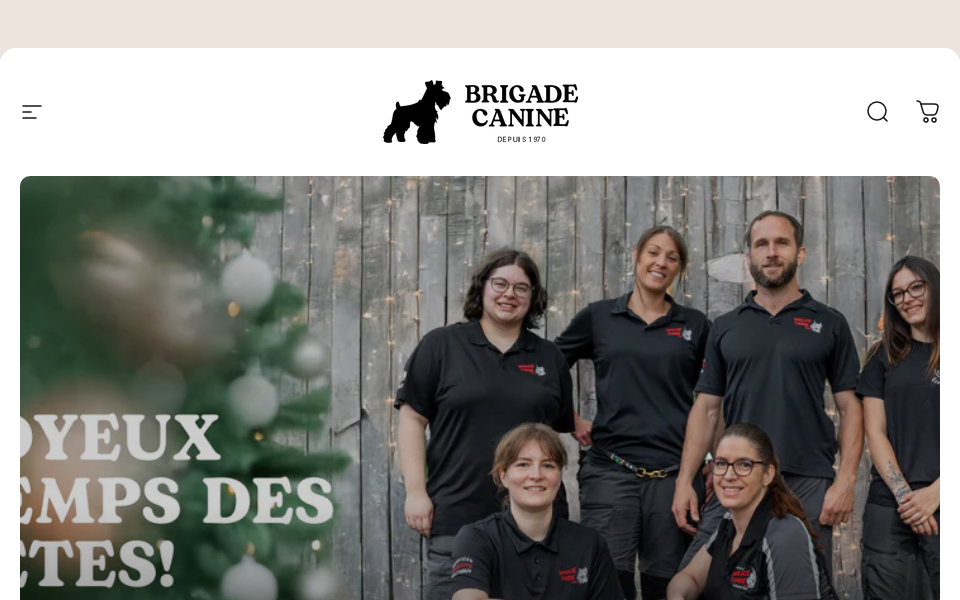 ecolebrigadecanine.com/ screen capture