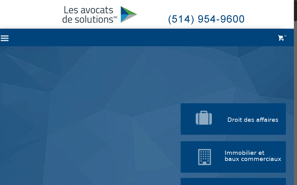 droitdespme.com/ screen capture